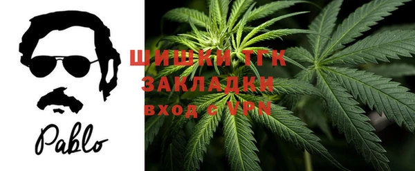 шишки Алапаевск