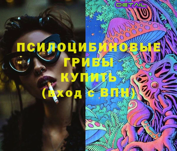 индика Верея