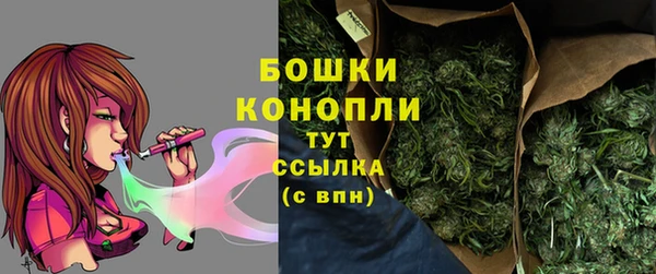 шишки Алапаевск